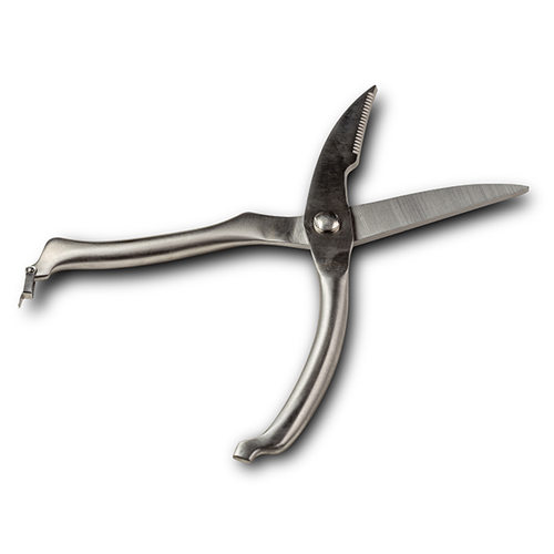 cesoie-per-pollame-acer-in-acciaio-inossidabile-25cm